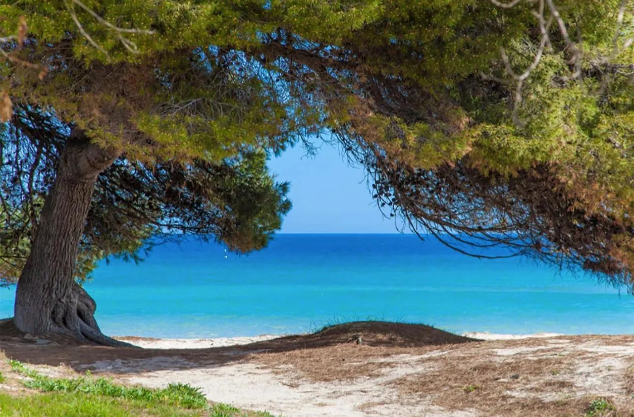 Apartment Countess Garden 2-1, Sun Of The Bay Vidalba 1, At Alcudia Beach Port de Alcudia  Spagna
